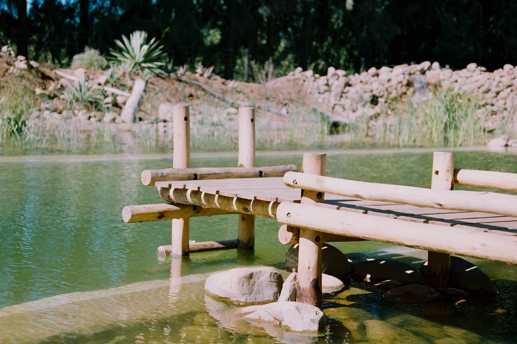Addo African Home Екстер'єр фото