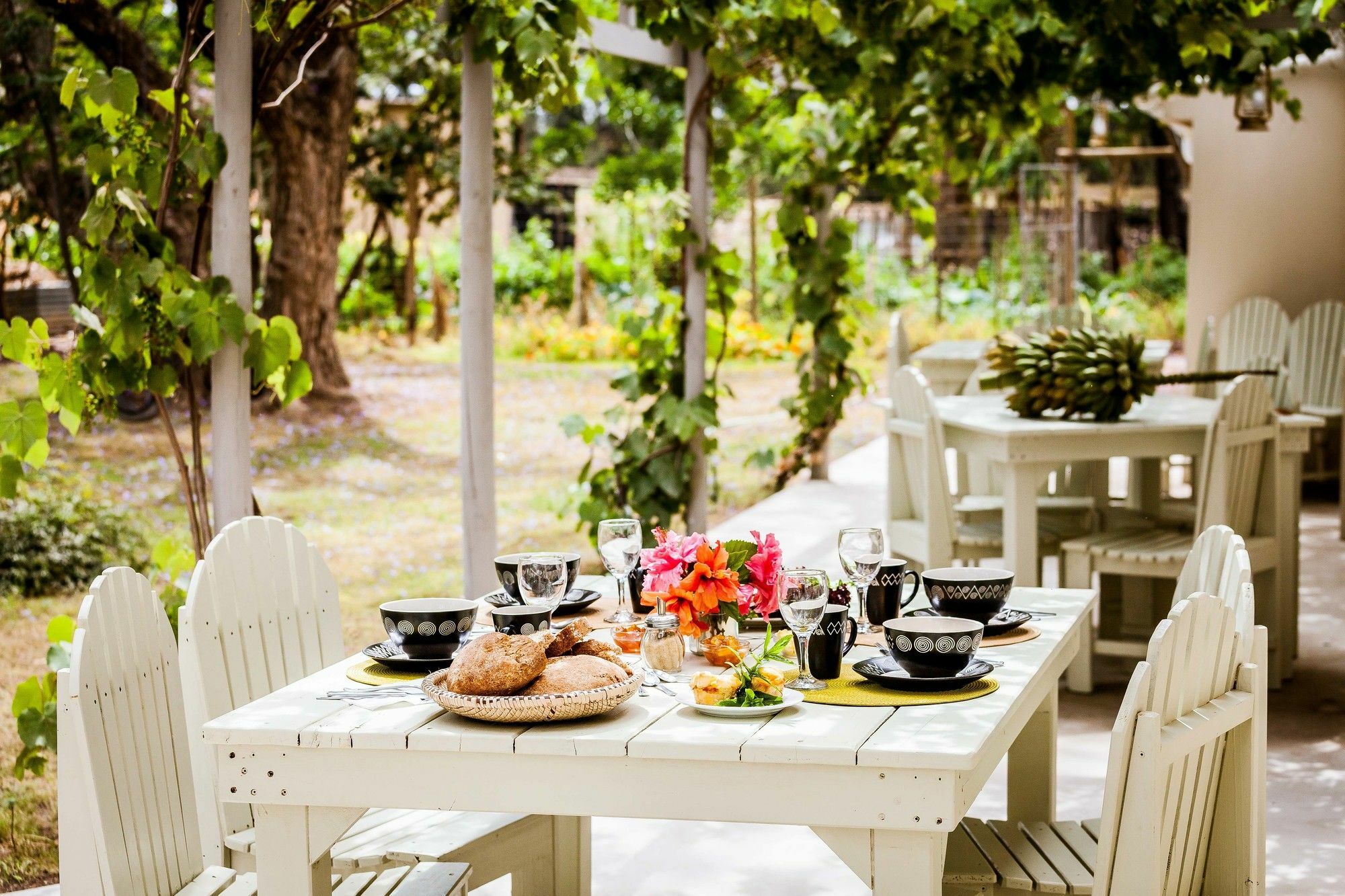 Addo African Home Екстер'єр фото