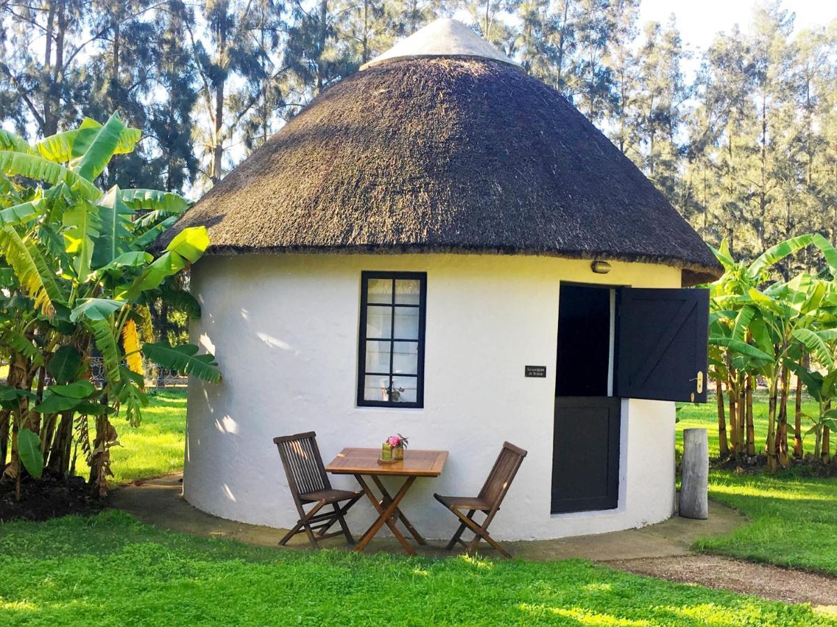 Addo African Home Екстер'єр фото